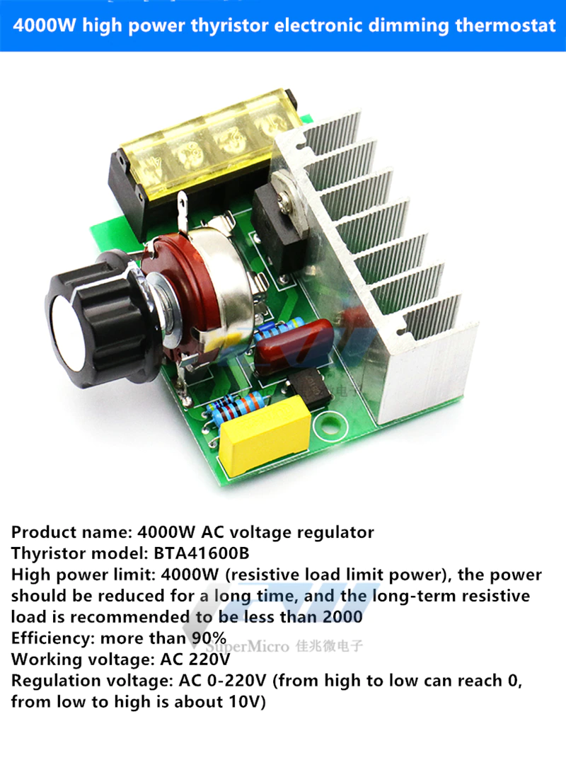 Régulateurs de tension 4000W AC 220V