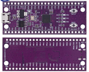 carte stm32 Microcontréleur W806 240MHZ